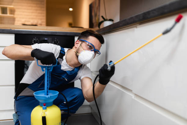 Best Flea Control Services  in Minooka, IL