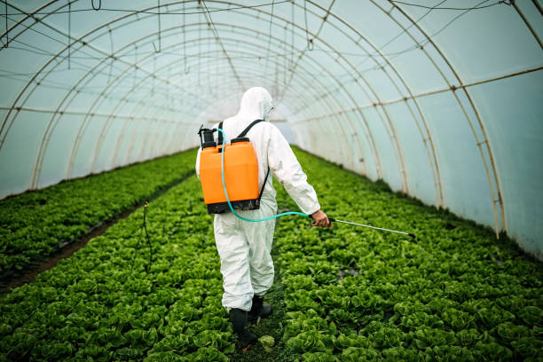 Best Pest Control for Businesses  in Minooka, IL