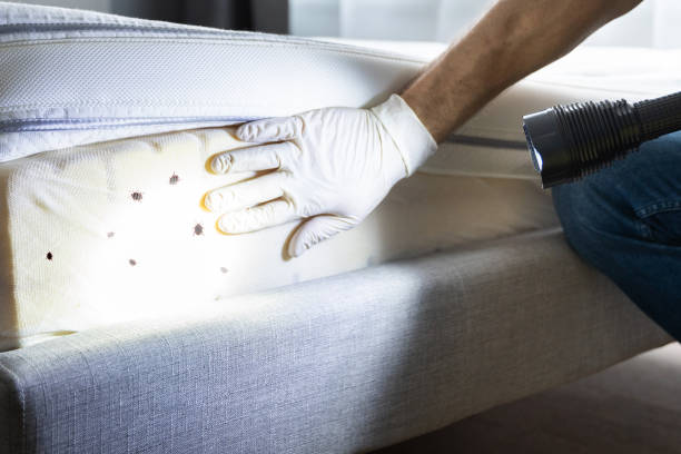 Best Best Pest Control Companies  in Minooka, IL