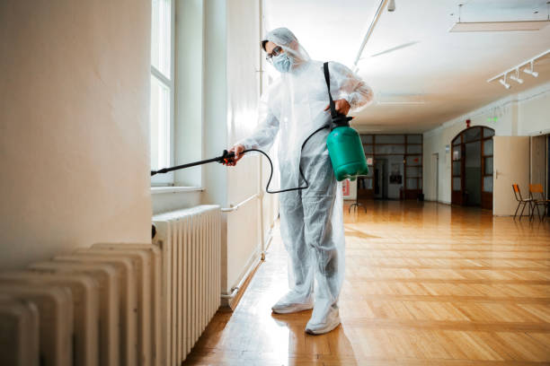 Best Termite Control Services  in Minooka, IL